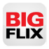 Bidflix